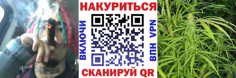 Где купить наркотики Петровск Галлюциногенные грибы ГЕРОИН Cocaine ГАШИШ Конопля APVP Мефедрон