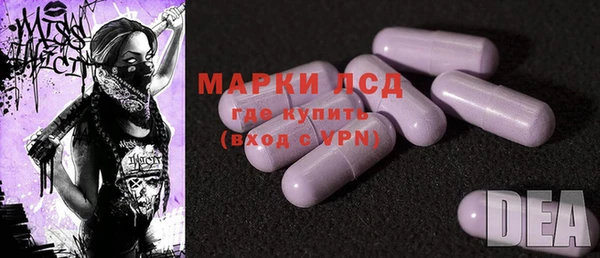 ECSTASY Новозыбков