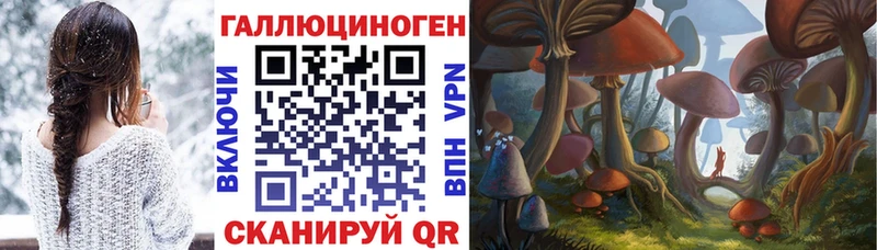 ссылка на мегу как войти  наркота  Петровск  Галлюциногенные грибы Psilocybine cubensis 