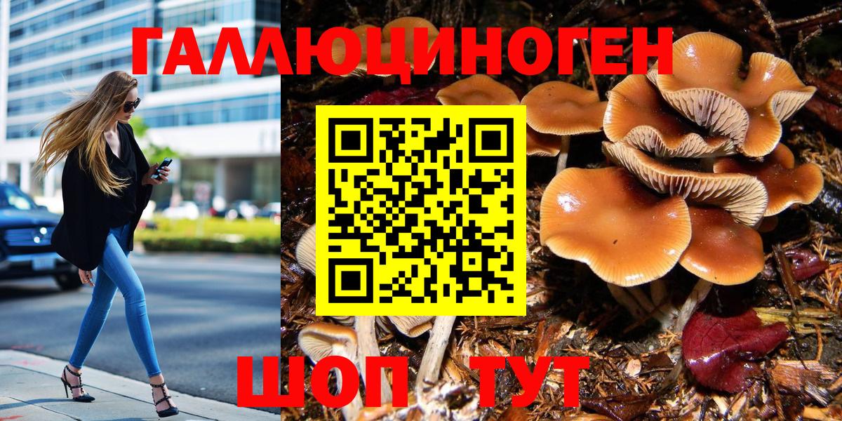 Галлюциногенные грибы прущие грибы Петровск